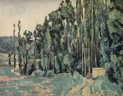 Paul Cezanne The Poplars china oil painting artist